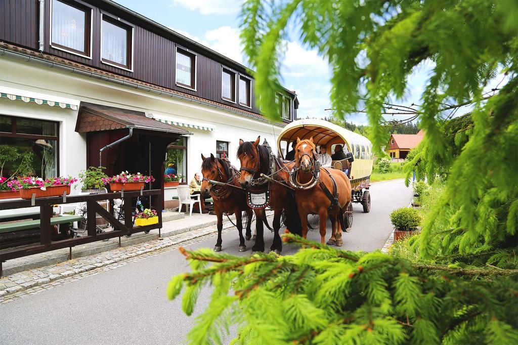 Gaststaette & Pension Waldquell Antonshohe Exterior foto